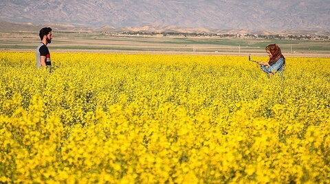 احکام شرعی | کسی کے کھیت یا باغ میں اجازت کے بغیر جانا