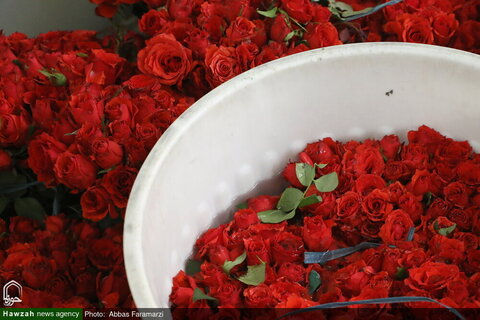 Photos/Le sanctuaire de Fatima al-Ma'suma (sur elle la paix) a été décoré de fleurs à l'occasion de l'anniversaire de son arrivée dans la ville sainte de Qom.