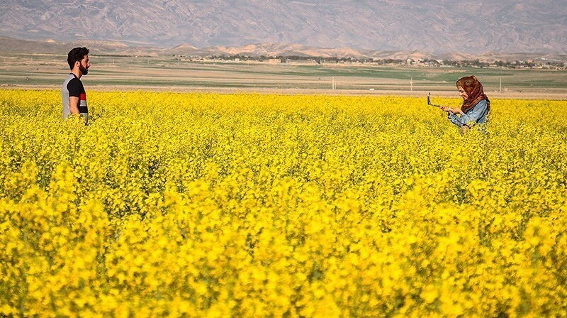 احکام شرعی | آیا ورود به زمین کشاورزی دیگران بدون اجازه جایز است؟