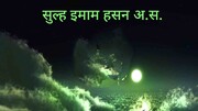 इमाम हसन (अ) की सुल्ह अमन का मुहं बोलता सबूत