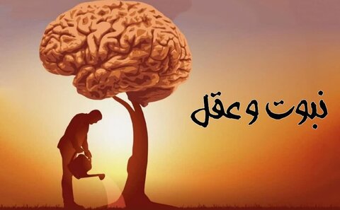 عقل ہونے کے باوجود ہمیں انبیاء کی ضرورت کیوں ہے؟