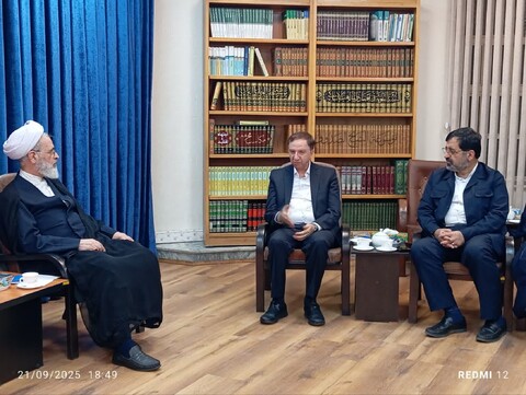 تصاویر/ دیدار مدیر عامل بانک دی و استاندار قم با آیت‌الله اعرافی