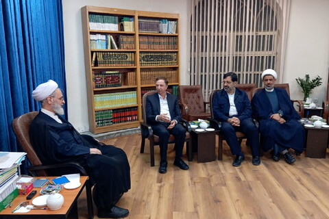 تصاویر/ دیدار مدیر عامل بانک دی با آیت‌الله اعرافی