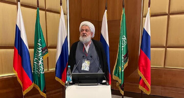 نماینده مجمع تقریب مذاهب اسلامی در اجلاس سنت پترزبورگ بر لزوم وحدت جهان اسلام در برابر فجایع غزه تأکید کرد