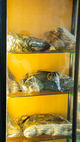 تصاویر/ حضور خانواده شهدا آران وبیدگل درگنجینه شهدای دفاع مقدس هلال بن علی (ع)