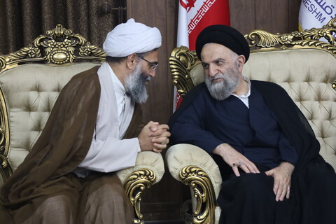تصاویر/ استقبال از آیت‌الله غروی در فرودگاه بین‌المللی قشم