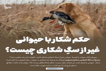 عکس نوشت| حکم شکار با حیوانی غیر از سگِ شکاری چیست؟