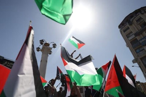 پیراگوئے فلسطین کو تسلیم کرنے کے عالمی عمل میں شامل ہو: فلسطینی سفارت خانہ برازیل