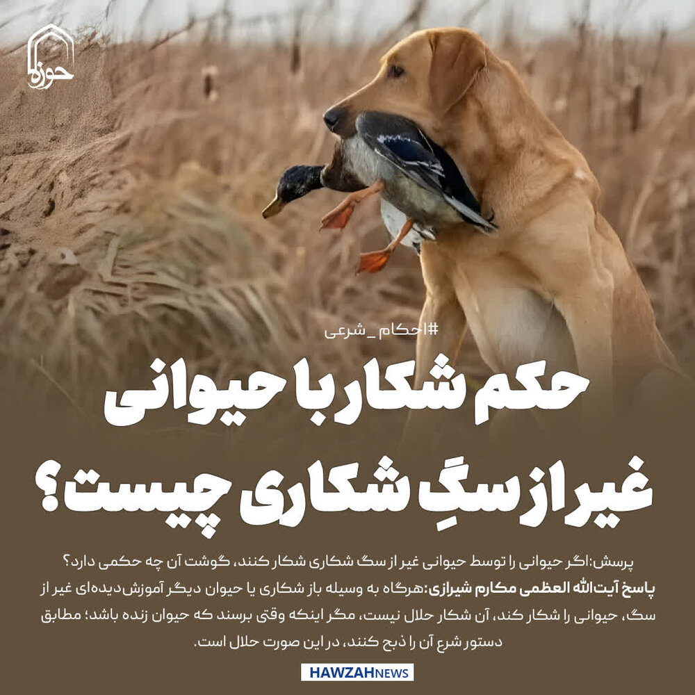 عکس نوشت| حکم شکار با حیوانی غیر از سگِ شکاری چیست؟
