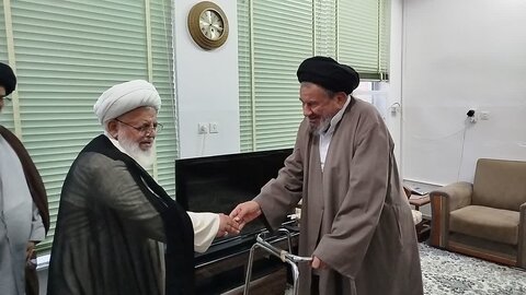 تصاویر/ جلوه هایی از سفر آیت الله ناصری به بافق