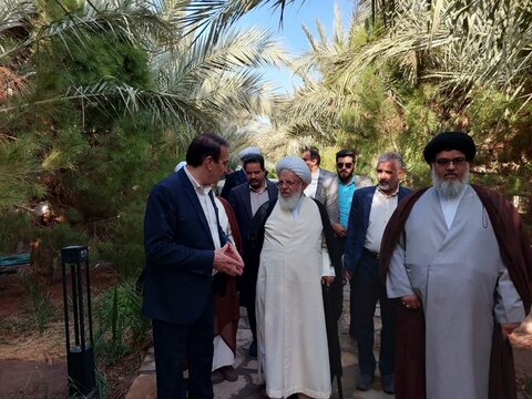تصاویر/ جلوه هایی از سفر آیت الله ناصری به بافق