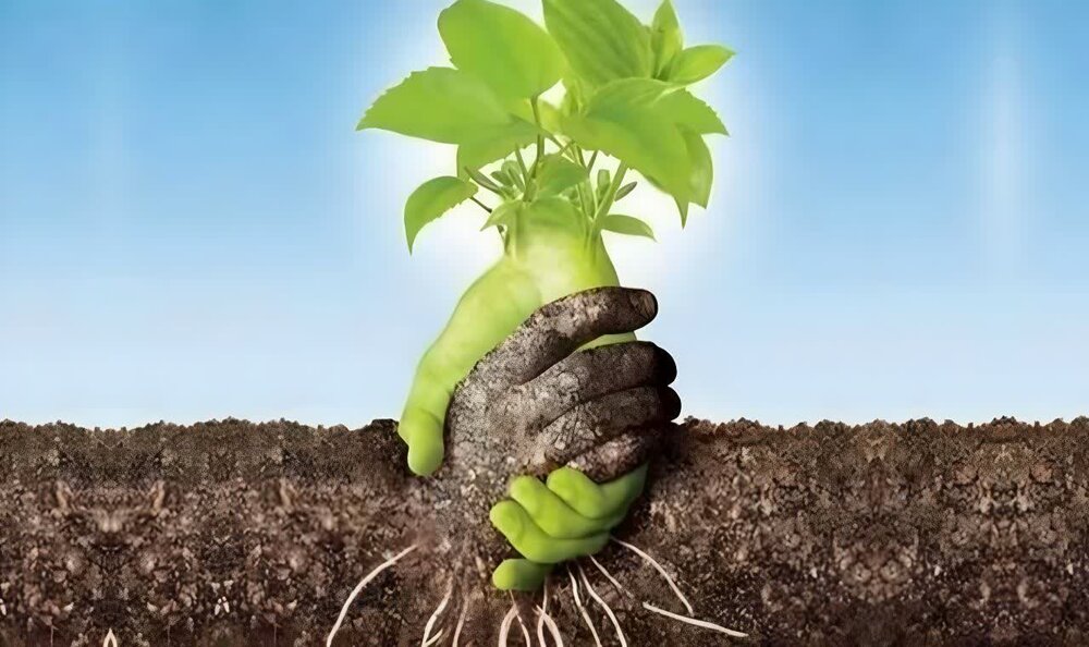 درس اخلاق | چگونه می‌توان به رحمت خدا نزدیک شد؟ + صوت