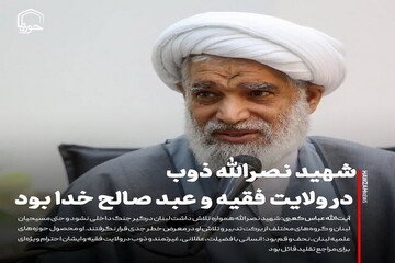 عکس نوشت| شهید نصرالله ذوب در ولایت فقیه و عبد صالح خدا بود