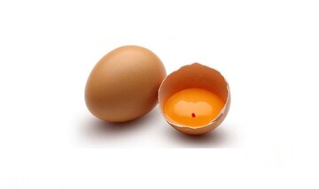 احکام شرعی | لکه خونی که در تخم‌مرغ می‌بینید، حلال است یا حرام؟