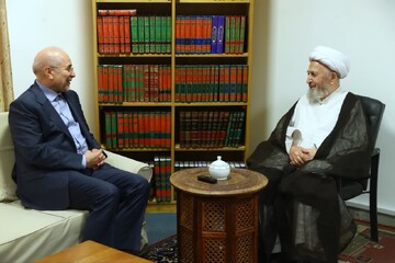 رئیس مجلس شورای اسلامی با آیت الله العظمی سبحانی دیدار کرد