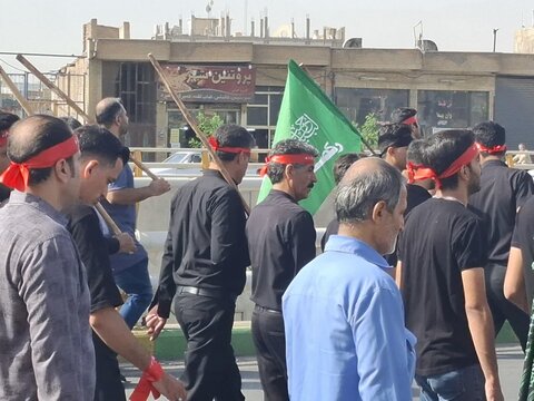 تصاویر/ کاروان پیاده «وارثان حماسه خونین اردهال»