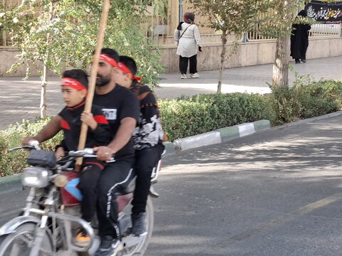 تصاویر/ کاروان پیاده «وارثان حماسه خونین اردهال»