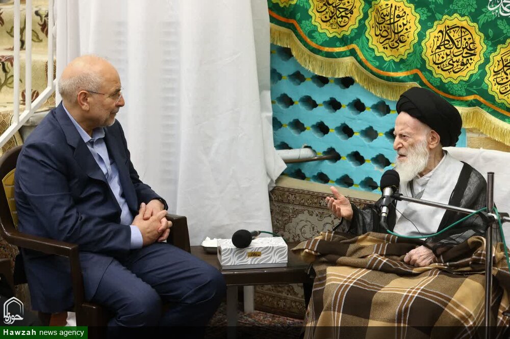 رئیس قوه مقننه در دیدار با آیت‌الله  العظمی شبیری زنجانی