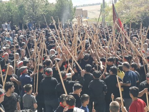 تصاویر | آیین سنتی مذهبی قالیشویان فین در مشهد اردهال کاشان