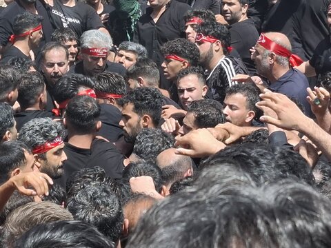 تصاویر | آیین سنتی مذهبی قالیشویان فین در مشهد اردهال کاشان