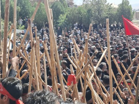 تصاویر | آیین سنتی مذهبی قالیشویان فین در مشهد اردهال کاشان