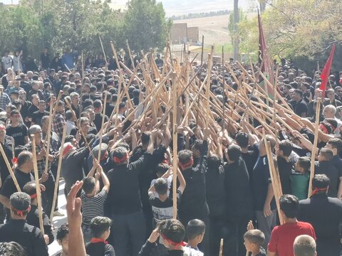 تصاویر | آیین سنتی مذهبی قالیشویان فین در مشهد اردهال کاشان