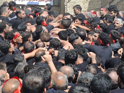 تصاویر | آیین سنتی مذهبی قالیشویان فین در مشهد اردهال کاشان