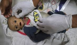 Social media drive shift in US views on Israeli genocide in Gaza