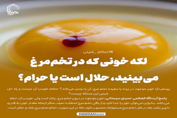 عکس نوشت|  لکه خونی که در تخم‌مرغ می‌بینید، حلال است یا حرام؟