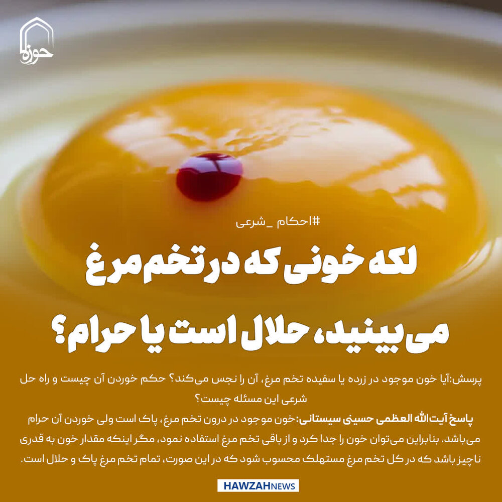 عکس نوشت|  لکه خونی که در تخم‌مرغ می‌بینید، حلال است یا حرام؟