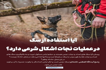 عکس نوشت| آیا استفاده از سگ در عملیات نجات اشکال شرعی دارد؟