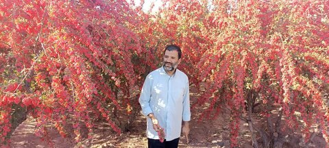 تصاویر /  سفر مدیر دفتر موقوفات ومنابع پایدار حوزه علمیه خراسان به خراسان جنوبی