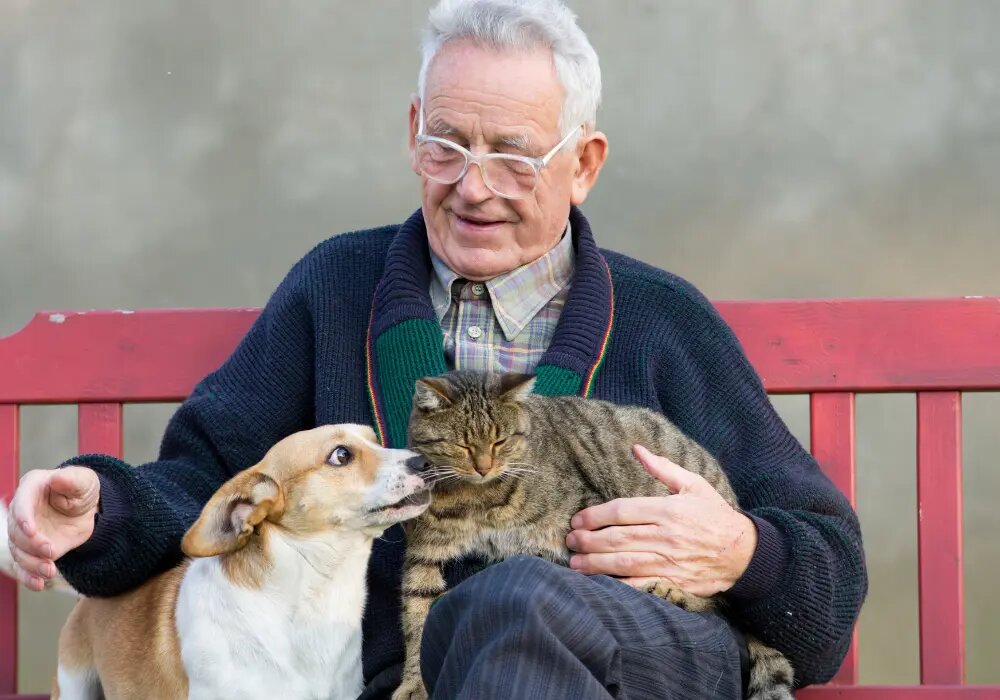 هشدار روانشناسانه: جای خالی آغوش انسان را با حیوان پُر نکنیم!