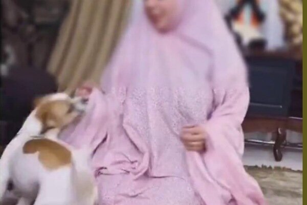 Başörtülü Bir Şekilde Köpek Beslemek: Yeni Bir Yaşam Tarzı mı Yoksa Beğeni Toplamanın Yeni Formülü mü?!
