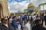 القدس في عامَي الحرب.. انتهاكات طالت البشر والحجر والشجر