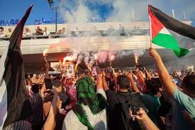 “International Systems Are Betraying Palestinians” – Greta Thunberg After Release From Israeli Detention