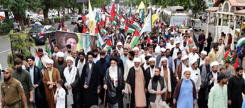 غزہ یکجہتی مارچ