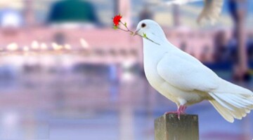 عفاف فقط اختصاص به بانوان ندارد