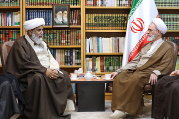 تصاویر/ دیدار رئیس مجلس وحدت مسلمین پاکستان با آیت الله اعرافی