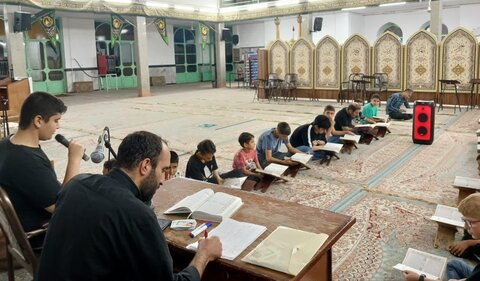 تصاویر/ اجرای پویش «شنبه های نبوی» در مساجد تهران