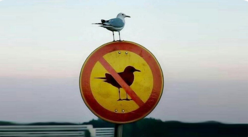 اگر بنده خدا باشی، آزاده زندگی می‌کنی