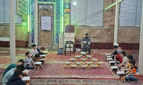 تصاویر/ پویش «دوشنبه های امام حسنی» با رویکرد آموزش تخصصی در مسجد نیک عهد