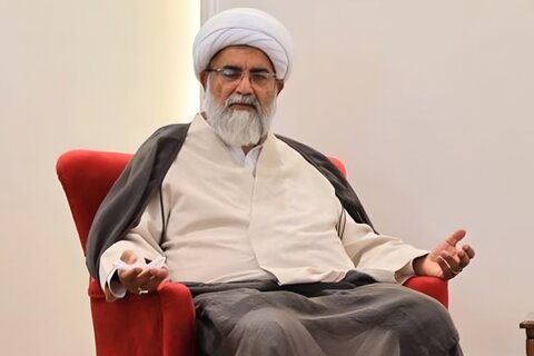 علامہ راجا ناصر عباس کی جانب سے تحریک لبیک کے مارچ پر فائرنگ کی مذمت