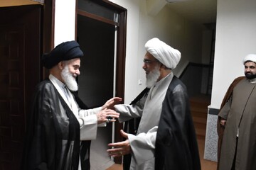 تصاویر/ دیدار  نماینده ولی‌فقیه در استان بوشهر با آیت‌الله حسینی بوشهری