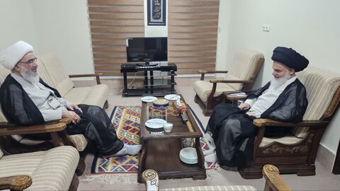 تصاویر/ دیدار نماینده ولی‌فقیه در استان بوشهر و آیت‌الله حسینی بوشهری