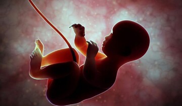 احکام شرعی | آیا جنین سقط شده دیه و غسل دارد؟