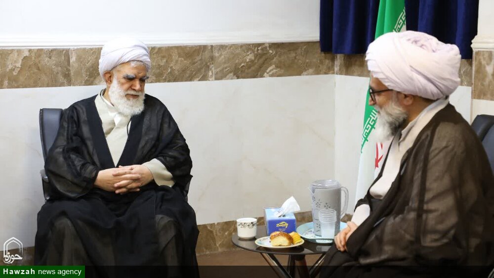 دیدار رییس شورای عالی مجمع جهانی اهل بیت(ع) با عضو مجلس خبرگان رهبری