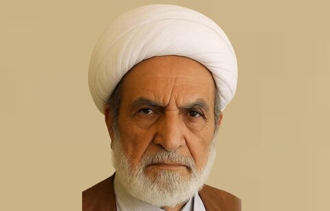 آیت اللہ حافظ بشیر حسین نجفی سے ان کے بڑے بھائی کی وفات پر اظہارِ تعزیت