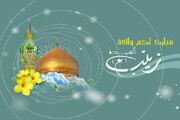 نبذة عن حياة السيدة زينب بنت الإمام أمير المؤمنين (عليهما السلام)