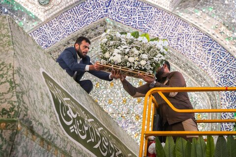 تزيين الضريح العلويّ بورود طبيعيّة احتفاءً بذكرى ولادة السيدة زينب (عليها السلام)
